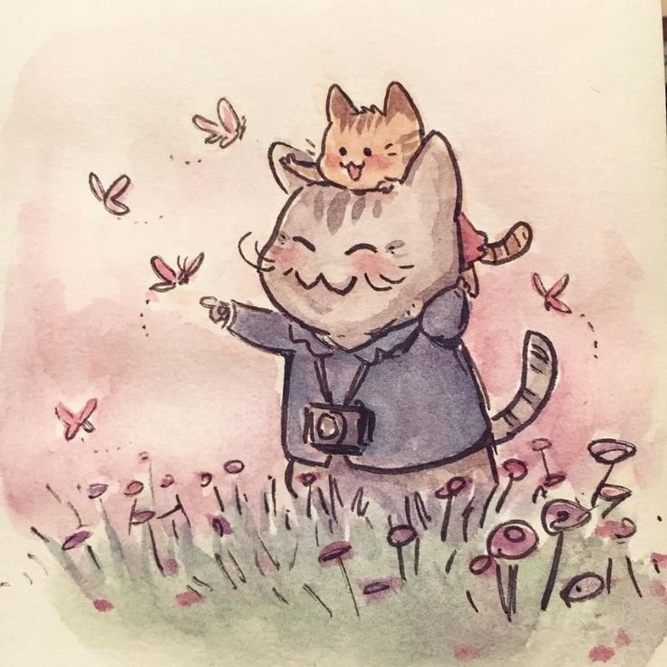 Идеи для рисунков кот