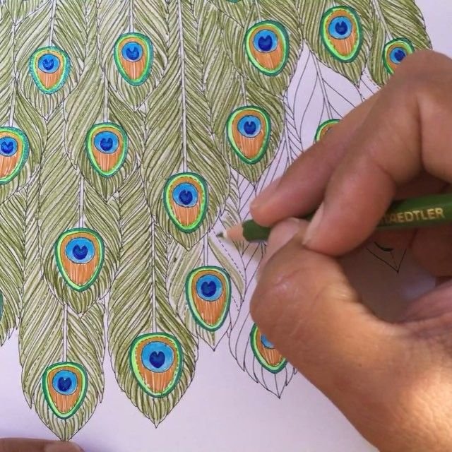 Рисование перо Жар птицы