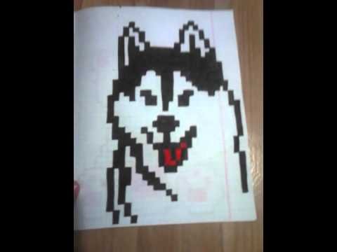 Собака хаски по клеткам