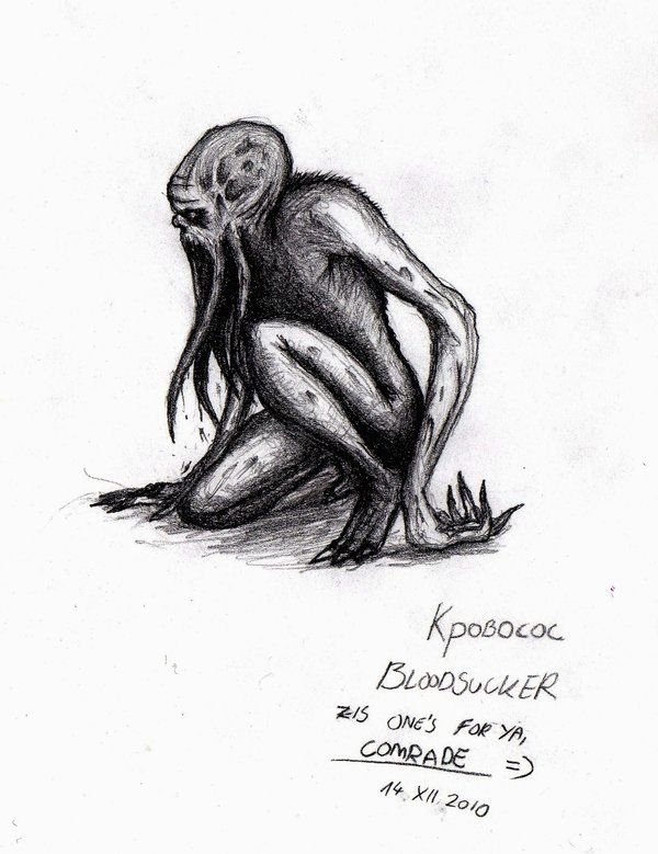 Мутанты из сталкера кровосос