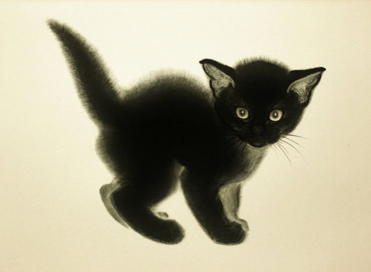 Чёрный кот