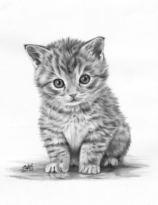 Кошки маленькие реалистичные