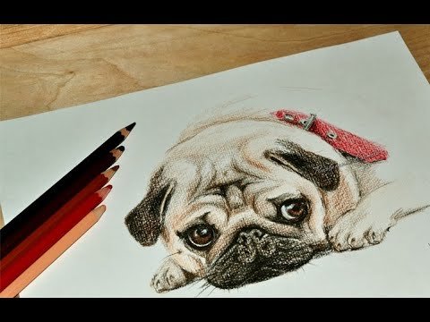 Картинки собак для срисовки