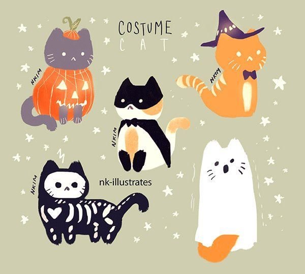 Котик рисунок