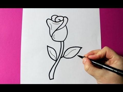 Самые легкие рисунки розы