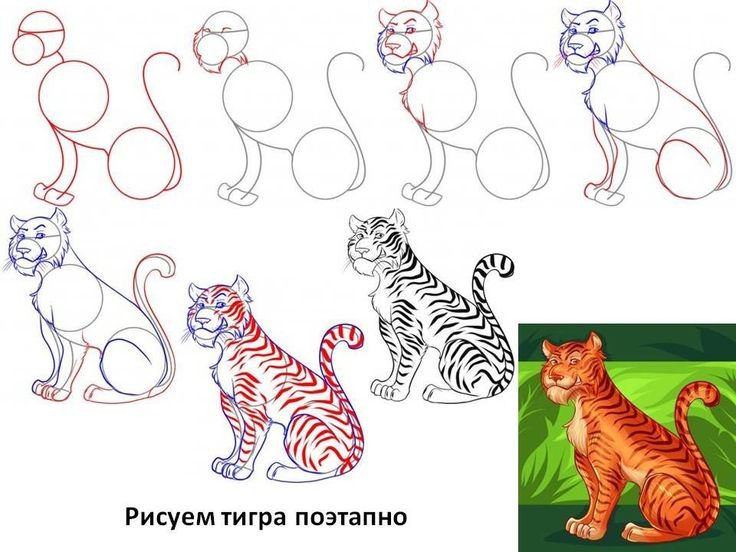 Тигр легкий поэтапно