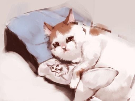Кот арты