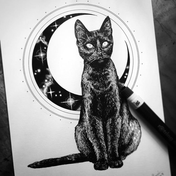 Тату черный кот эскизы