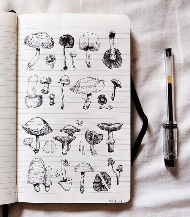 Рисунки для скетчбука
