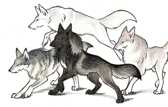 WILDSPIRITWOLF волки