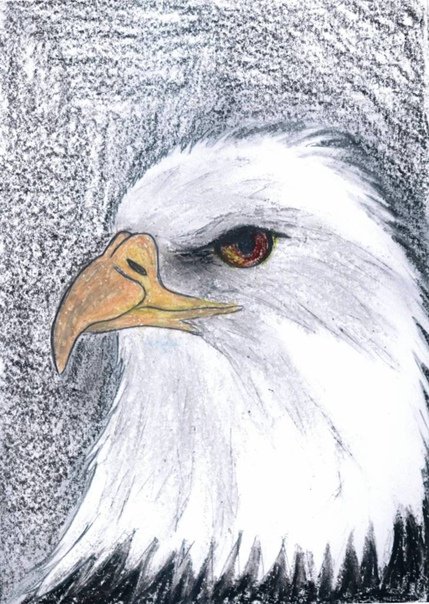 Орел детский рисунок