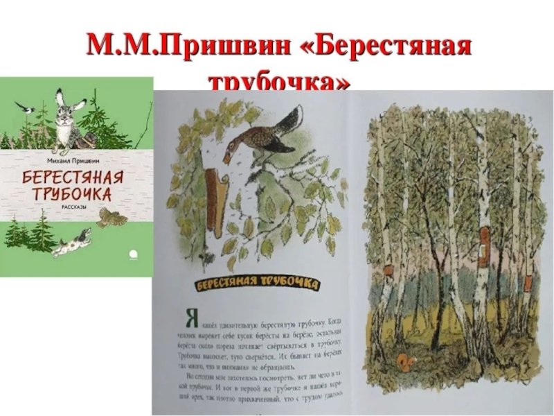 Михаил пришвин берестяная трубочка иллюстрации