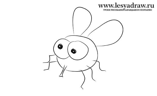Рисунок мухи для срисовки