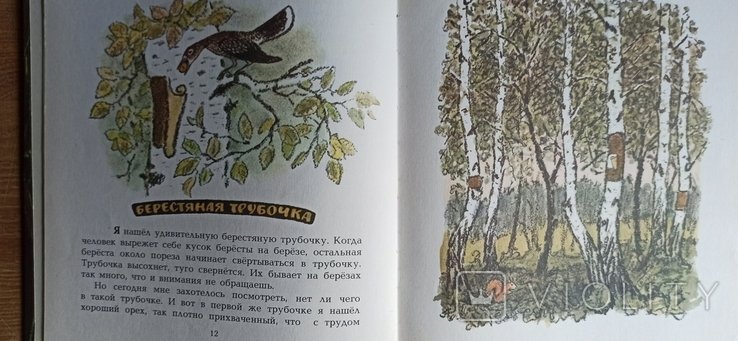 Берестяная трубочка