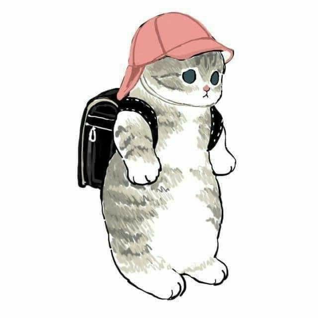 Котики в костюмах рисунки милые