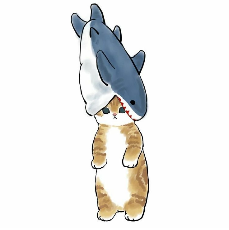Котёнок в кочтюме акулы