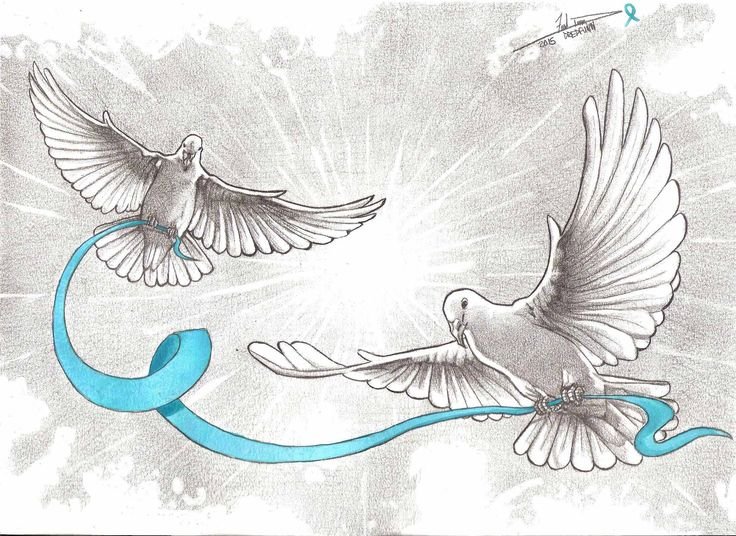 Рисунок голубя для срисовки