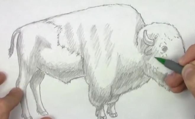 ЗУБР рисунок