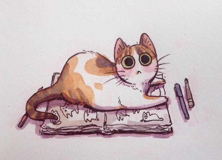 Рисунки котов