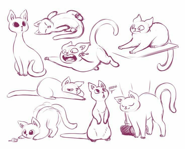 Кошка скетч