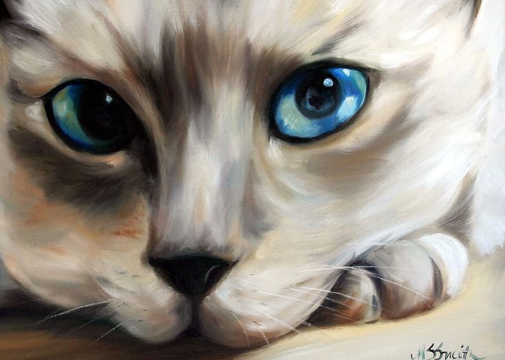 Портрет кошки