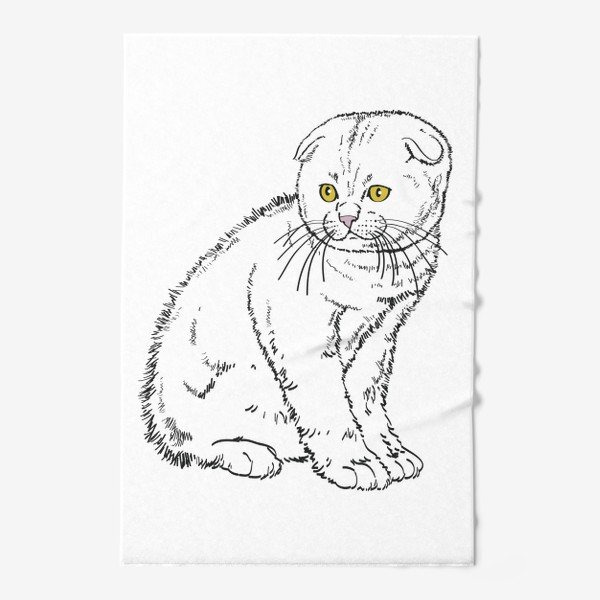 Вислоухая кошка рисунок