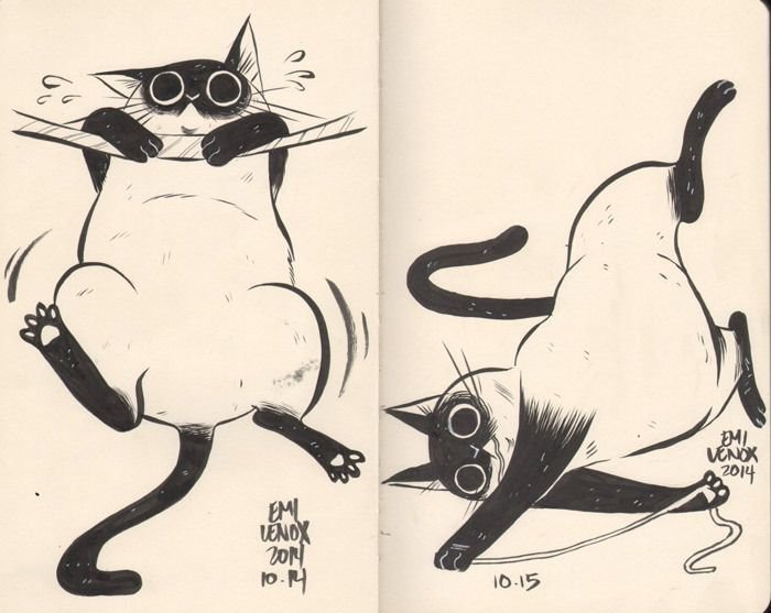 Зарисовка кота