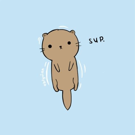 Рисунок выдры для срисовки