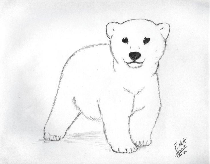 Медведь рисунок карандашом легкий