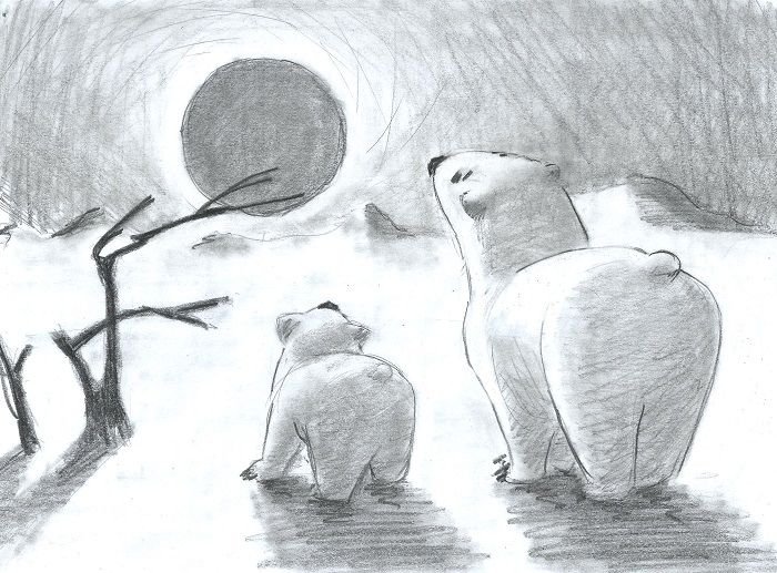 Рисунки белого медведя для срисовки