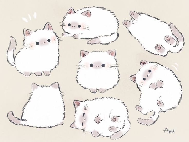 Милый котик рисунок