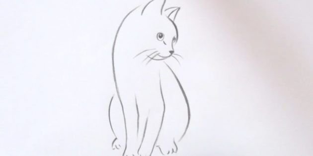 Кошка карандашом