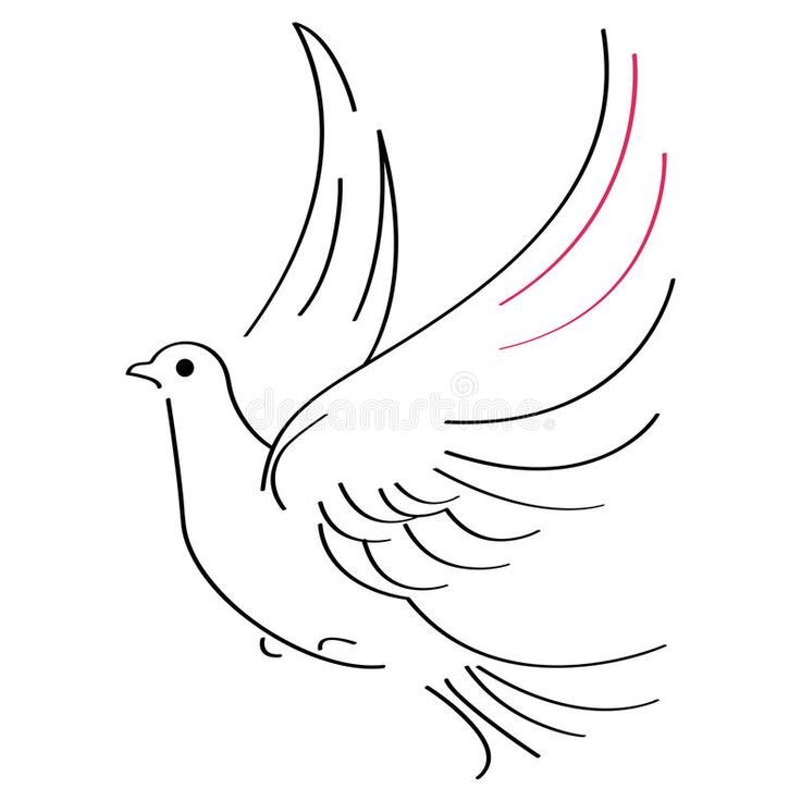Белый голубь рисунок