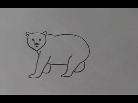 Белый медведь рисунок карандашом