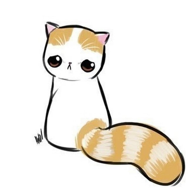 Милый грустный котик