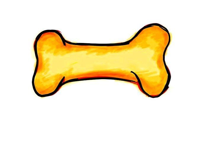 Собачья кость