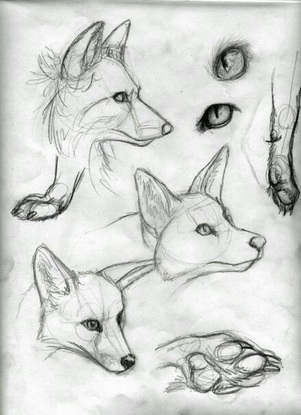 Рисунок лисы