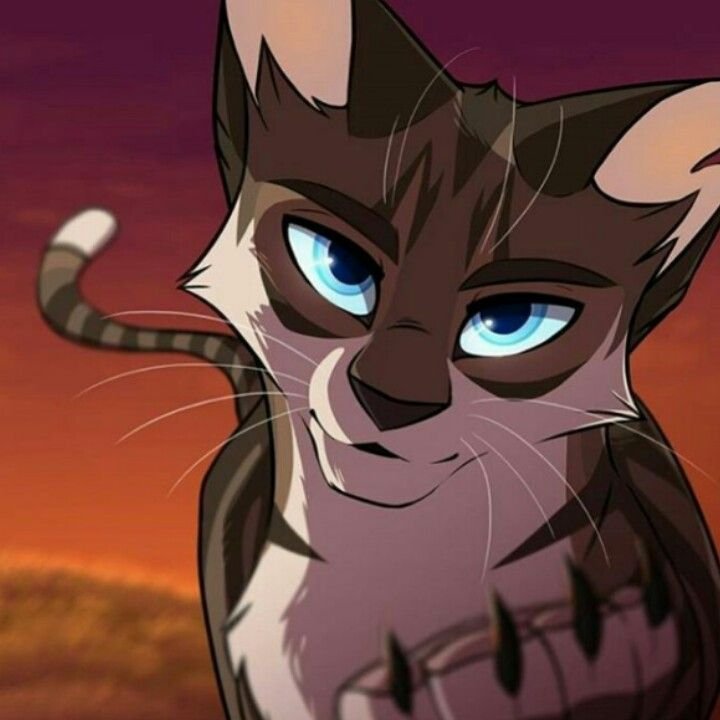 Коты Воители Коршун арт
