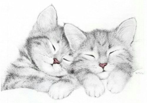 Кот карандашом