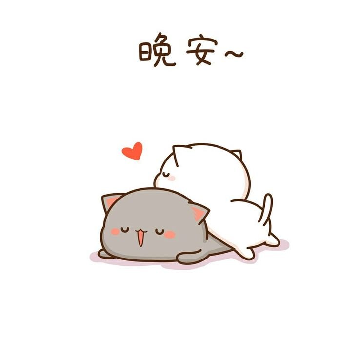 Каваи котики