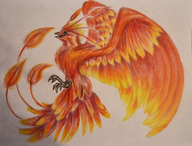 Птица Феникс рисунок