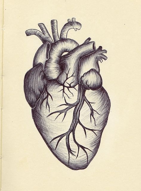 Сердце рисунок