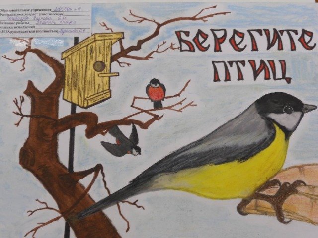 Рисунок на тему птицы