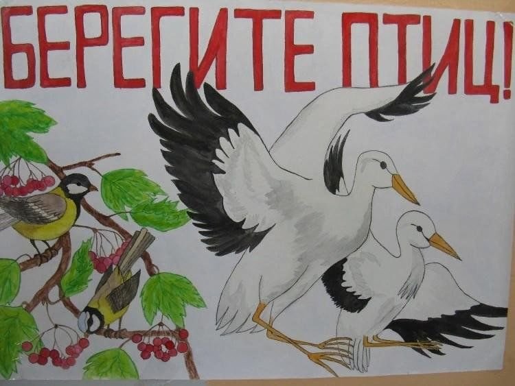 День птиц плакат