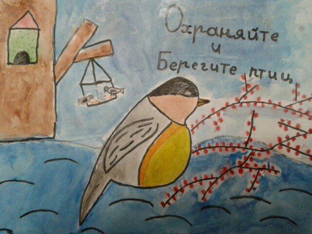 Береги птиц рисунок