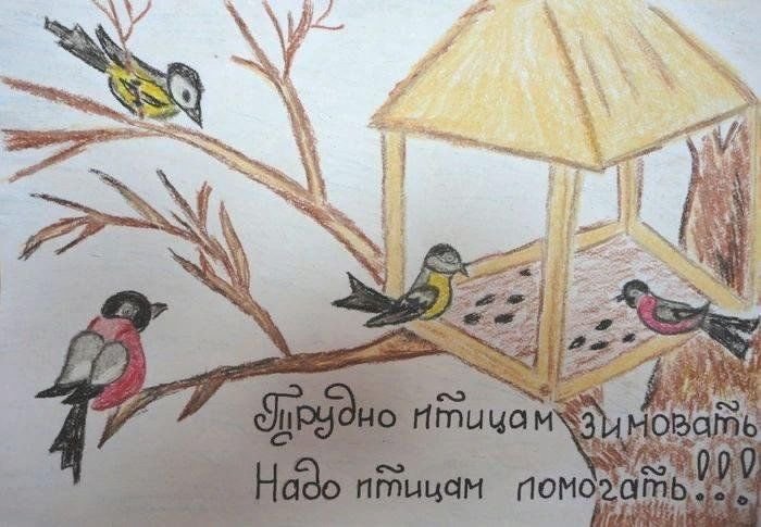 Покормите птиц зимой