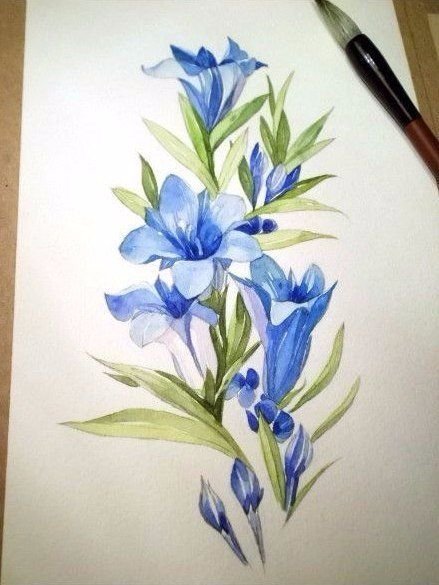 Рисунки цветов красками