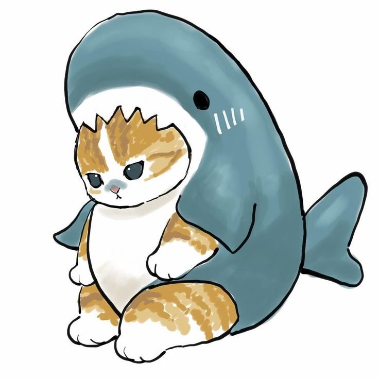 Котёнок в кочтюме акулы