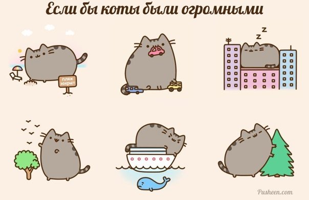 Кот Pusheen