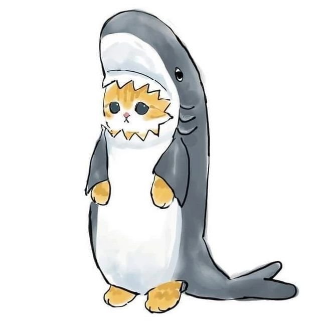 Котёнок в кочтюме акулы